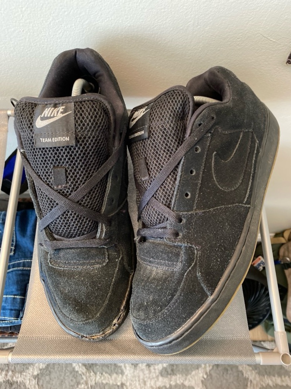 Nike SB Team Edition